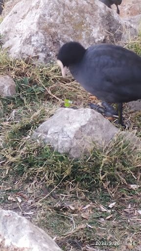 Yorum fotoğrafı 6