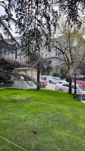 Yorum fotoğrafı 6