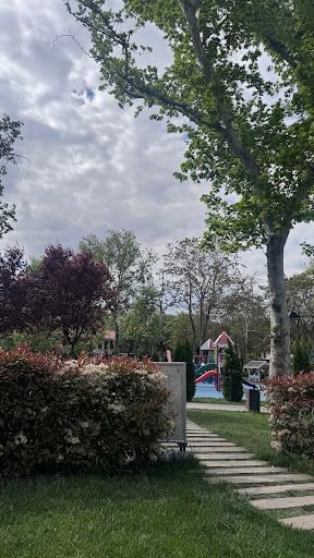 Yorum fotoğrafı 6
