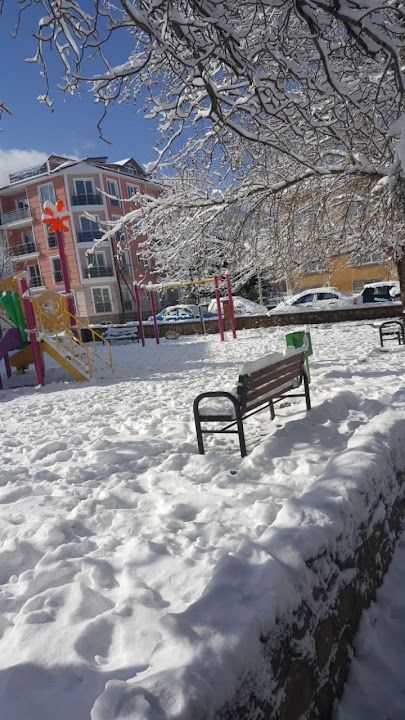 Simav