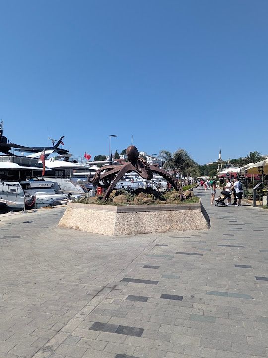 Fotoğraf 22