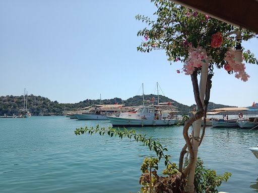 Yorum fotoğrafı 6
