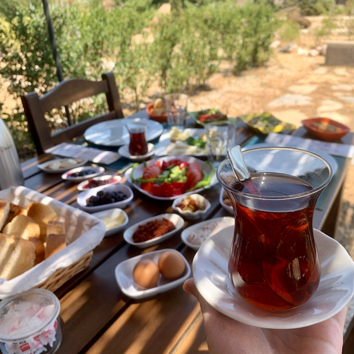 Fotoğraf 15