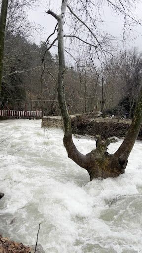 Yorum fotoğrafı 7
