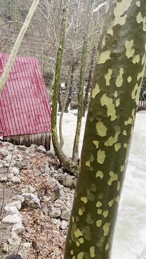 Yorum fotoğrafı 8
