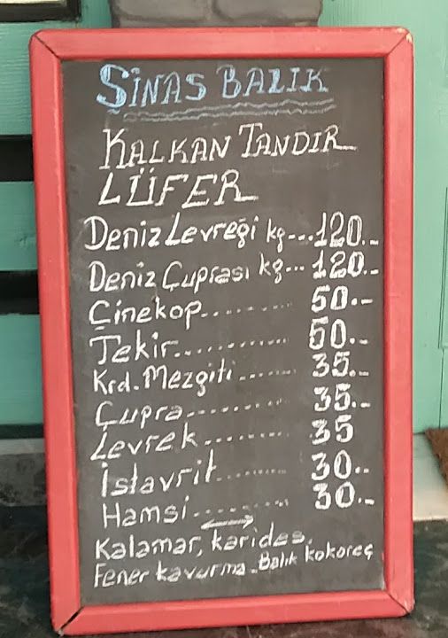 Fotoğraf 33