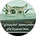 ŞİNASİ KÖÇEK