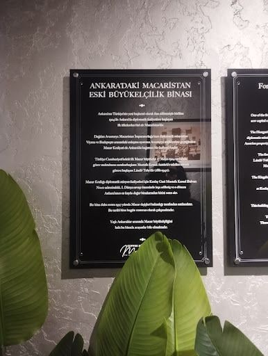 Yorum fotoğrafı 5