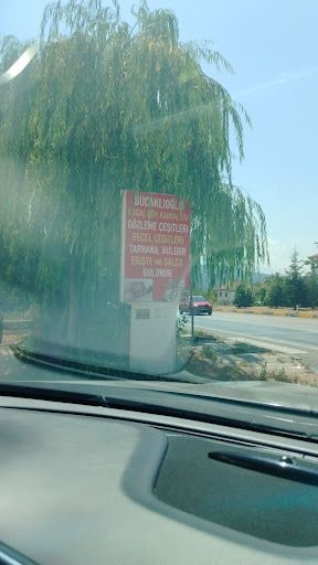 Fotoğraf 21