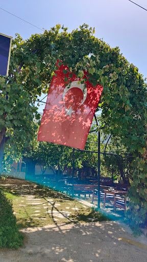 Yorum fotoğrafı 3