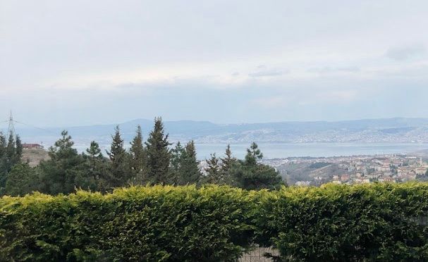 Fotoğraf 25