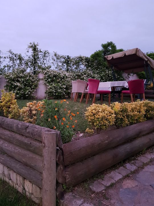 Fotoğraf 24