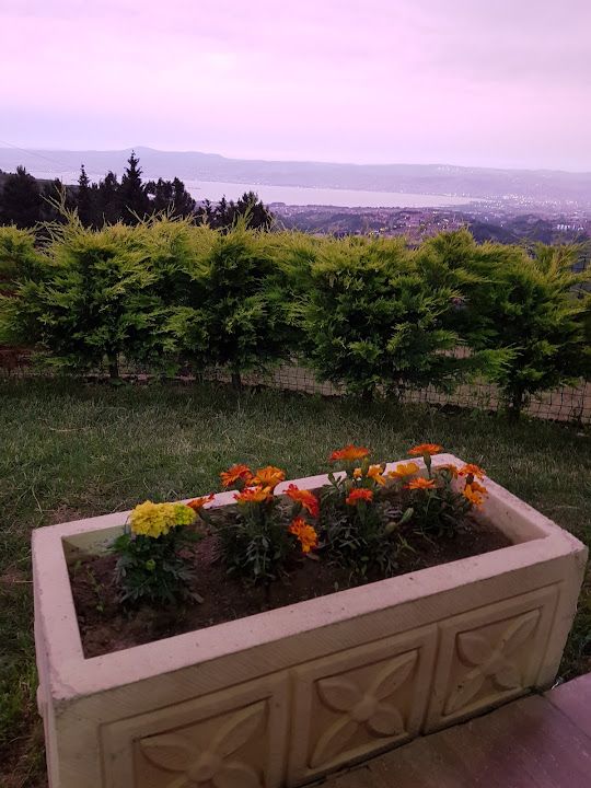 Fotoğraf 23