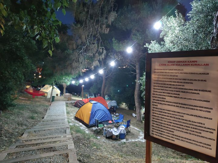 Sinop Orman Kampı