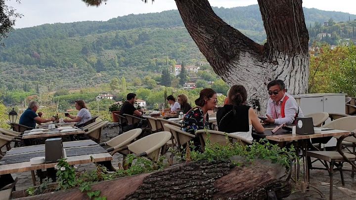 Fotoğraf 32