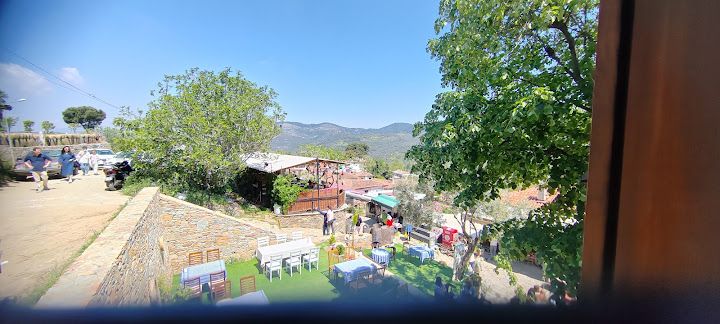 Fotoğraf 48