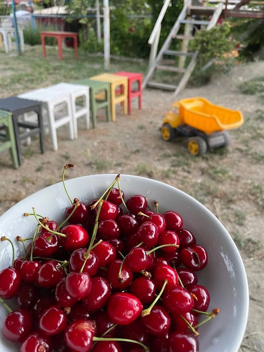 Fotoğraf 43