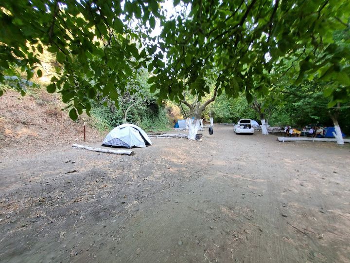 Fotoğraf 20