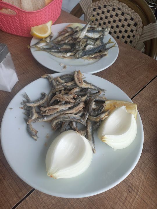 Fotoğraf 31