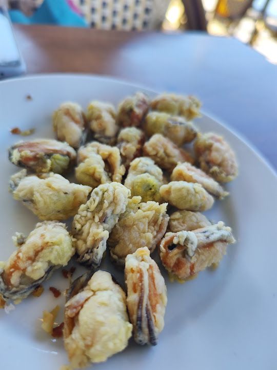 Fotoğraf 26