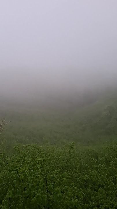 Fotoğraf 14