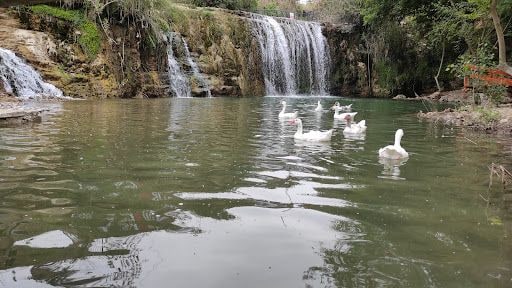 Yorum fotoğrafı 9