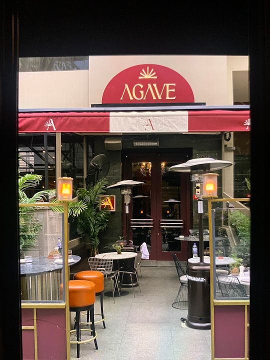 Agave Nişantaşı