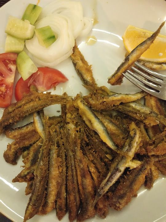 Fotoğraf 33