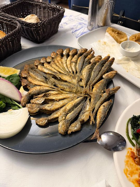 Fotoğraf 25