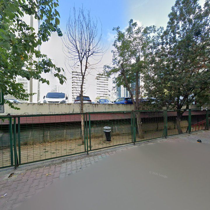 Fotoğraf 19