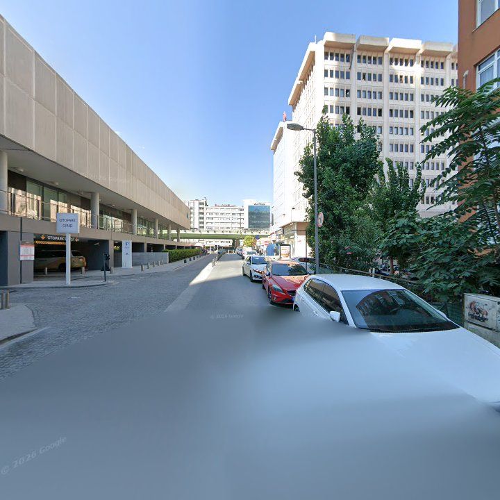 Fotoğraf 12