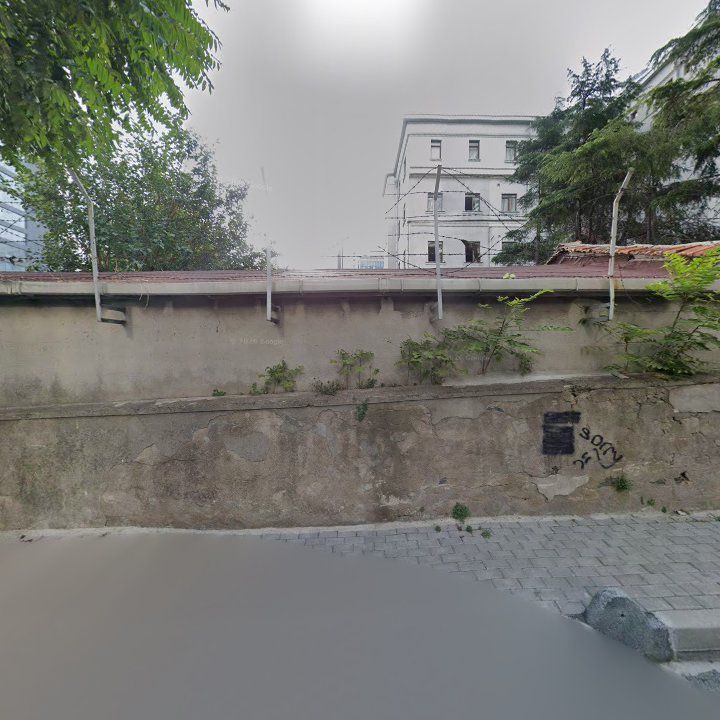Fotoğraf 16