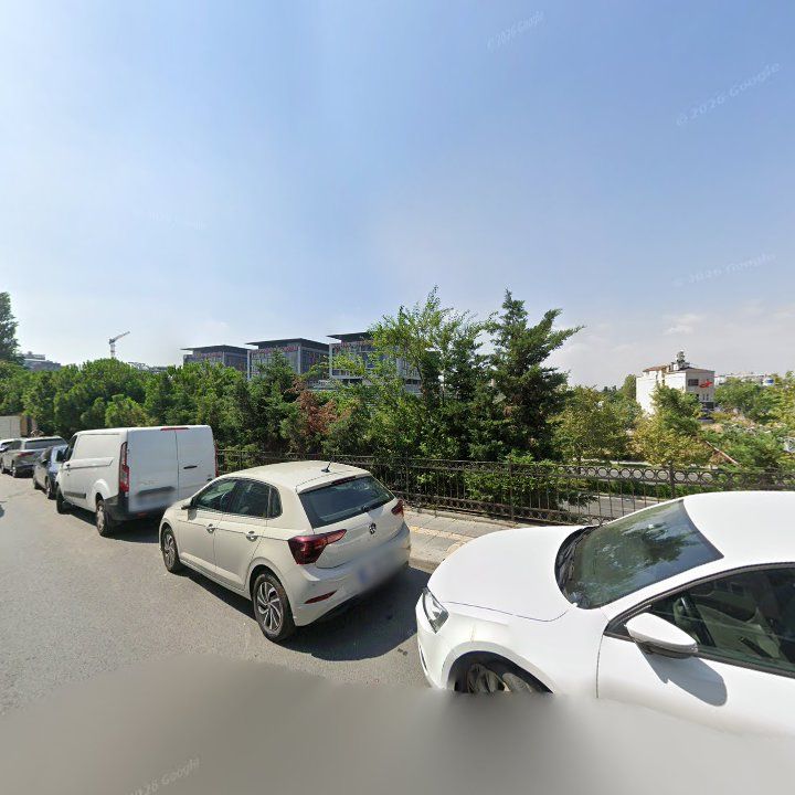 Fotoğraf 12
