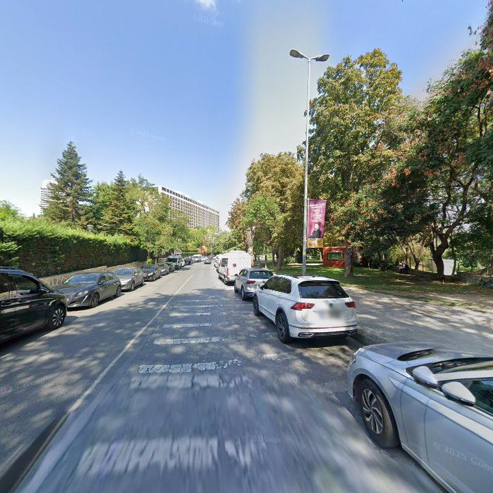 Fotoğraf 13