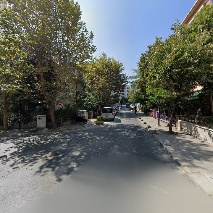 Fotoğraf 12