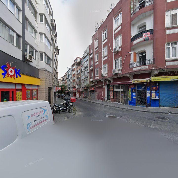 Fotoğraf 8
