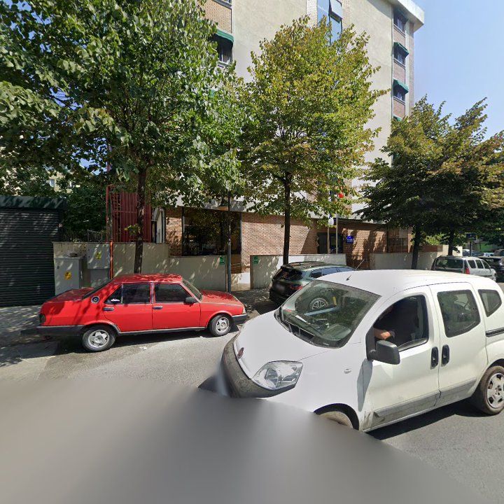 Fotoğraf 12