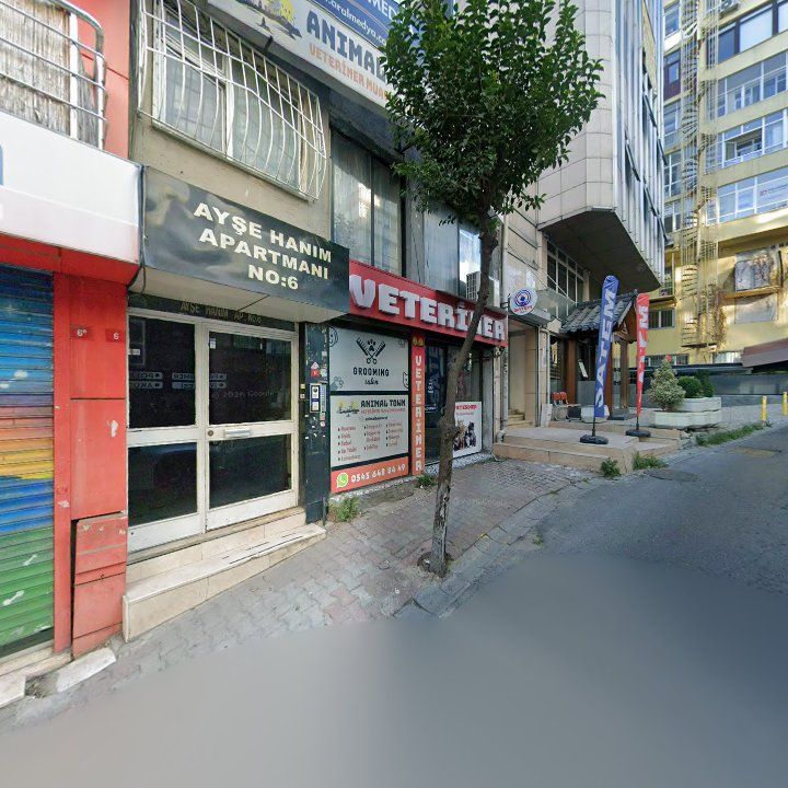 Fotoğraf 11