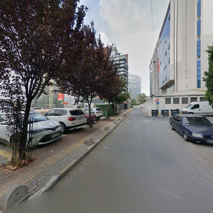 Fotoğraf 11