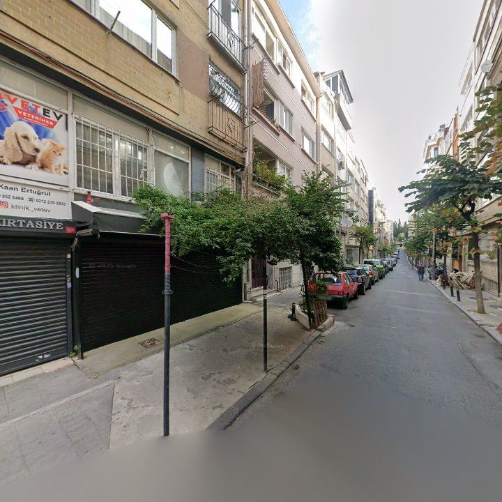 Fotoğraf 13