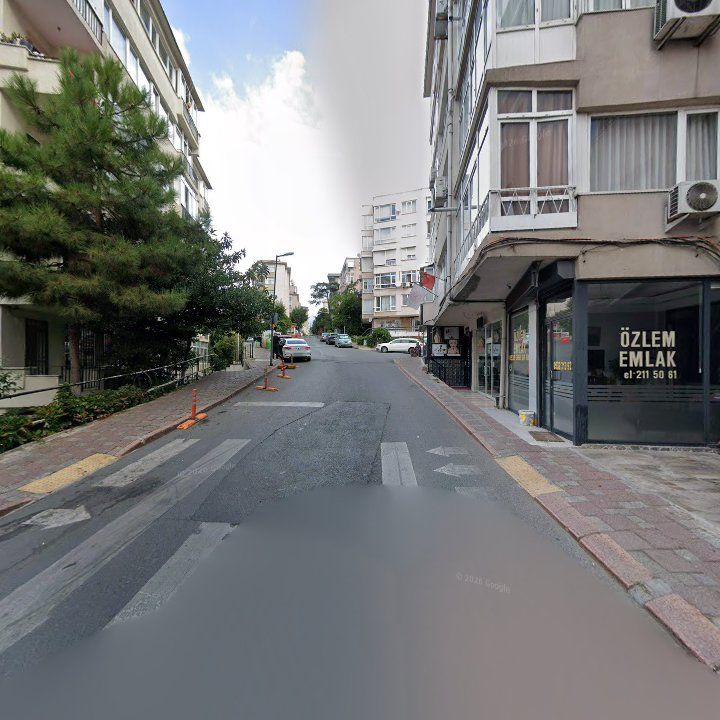 Fotoğraf 12