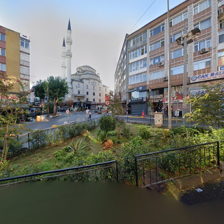 Fotoğraf 11