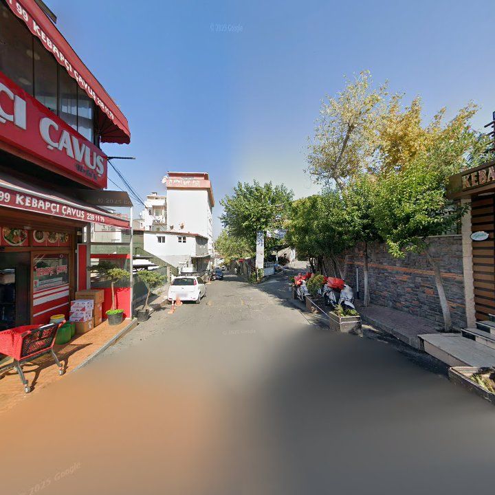 Fotoğraf 15