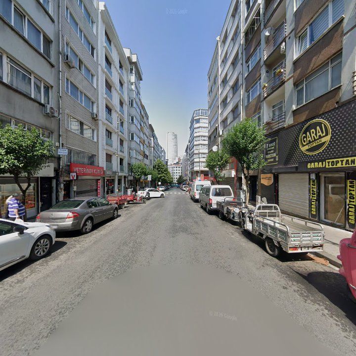 Fotoğraf 10