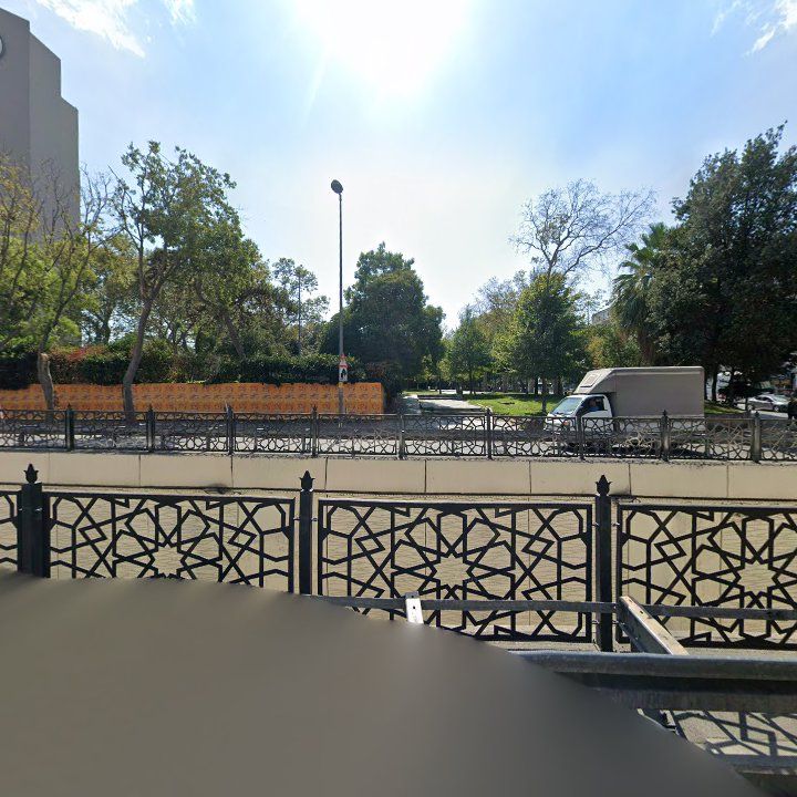 Fotoğraf 11