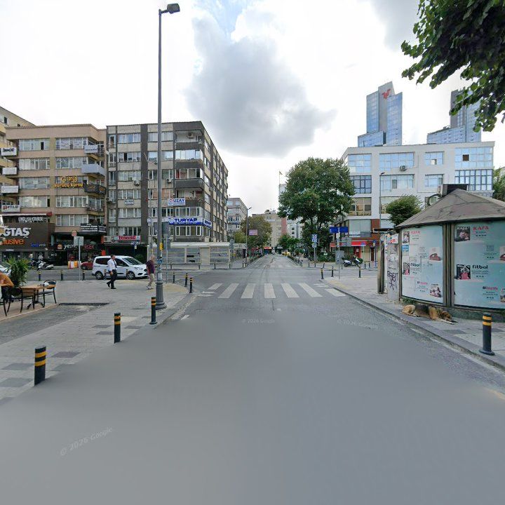 Fotoğraf 13