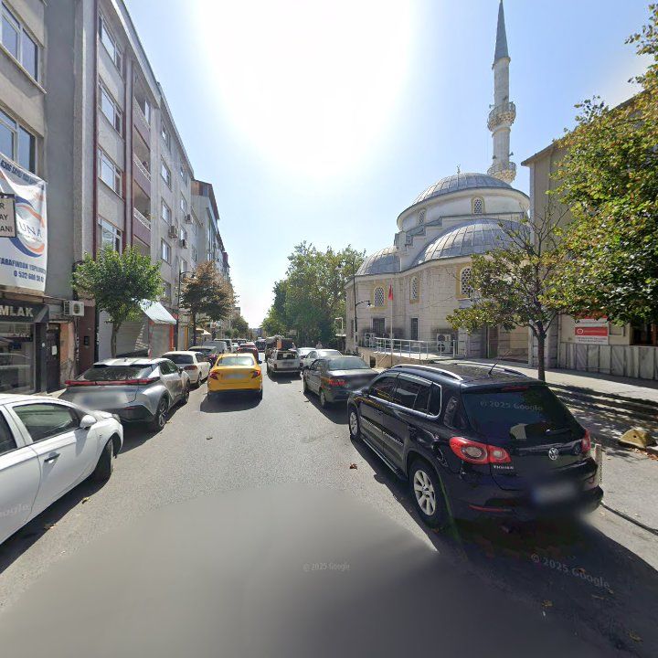 Fotoğraf 8