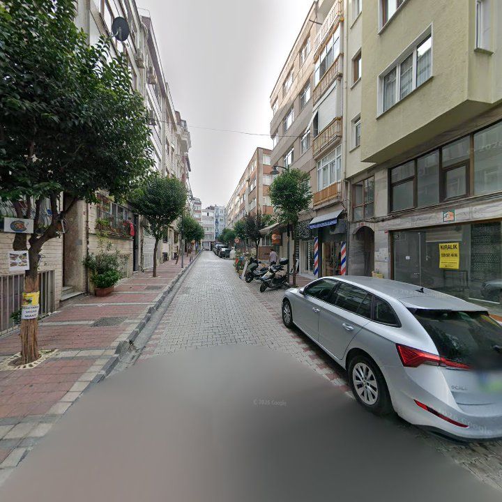 Fotoğraf 12