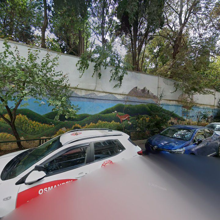 Fotoğraf 13