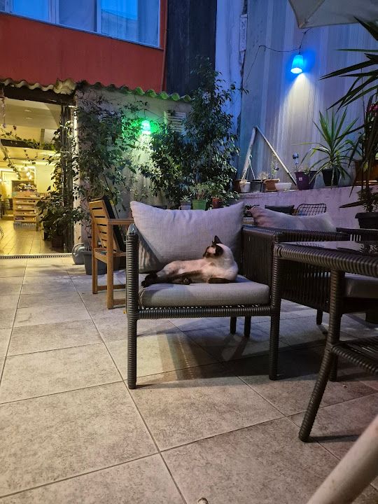 Fotoğraf 6